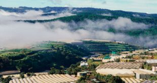 Pemandangan hijau Serenia Hills Lebak Bulus dengan rumah modern dan taman luas