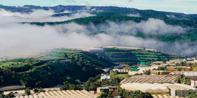 Pemandangan hijau Serenia Hills Lebak Bulus dengan rumah modern dan taman luas