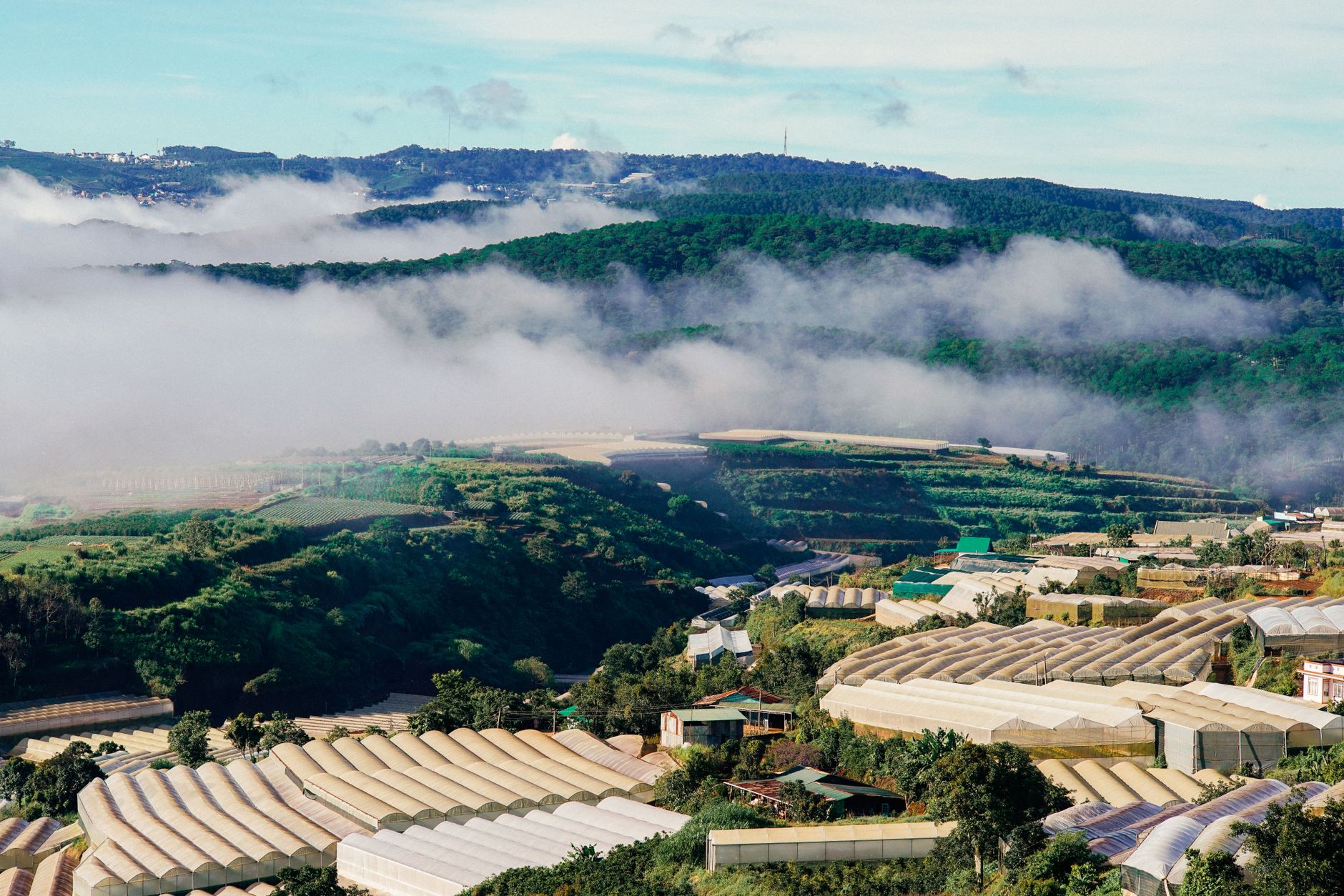Pemandangan hijau Serenia Hills Lebak Bulus dengan rumah modern dan taman luas