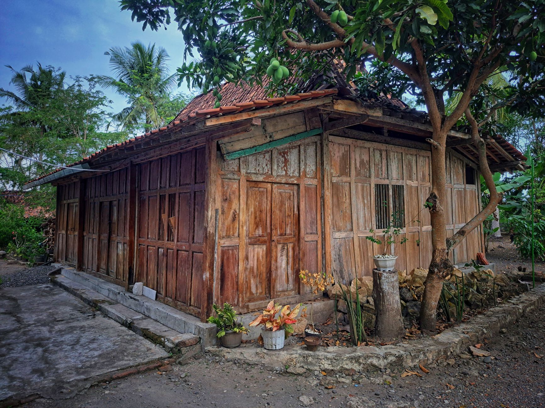 Rumah sederhana dengan desain minimalis, atap merah, dan taman kecil di depan.