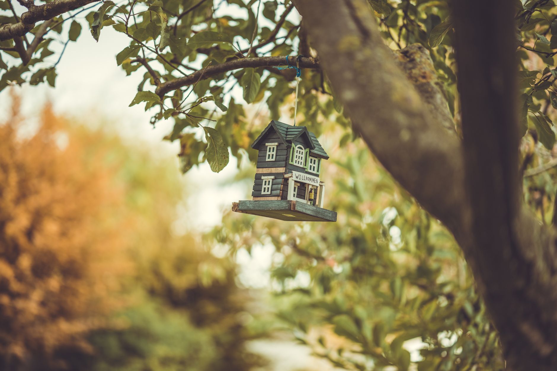 Rumah mini sederhana dengan desain minimalis, atap genteng, dan taman kecil di depan, cocok untuk hunian hemat ruang