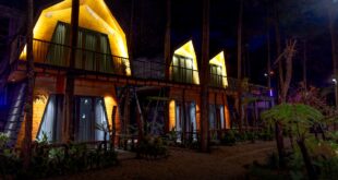 Desain villa minimalis sederhana modern dengan eksterior yang elegan