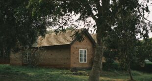 Rumah bata sederhana dengan desain minimalis, dinding kuat, dan taman kecil yang ramah lingkungan