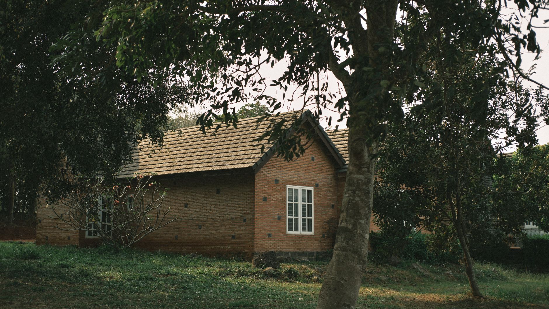 Rumah bata sederhana dengan desain minimalis, dinding kuat, dan taman kecil yang ramah lingkungan