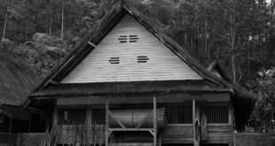Rumah panggung sederhana dengan atap genteng, struktur kayu, dan teras terbuka menonjolkan desain tradisional