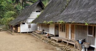 Rumah sederhana bergaya kampung dengan atap jerami, dinding kayu, dan taman kecil yang asri