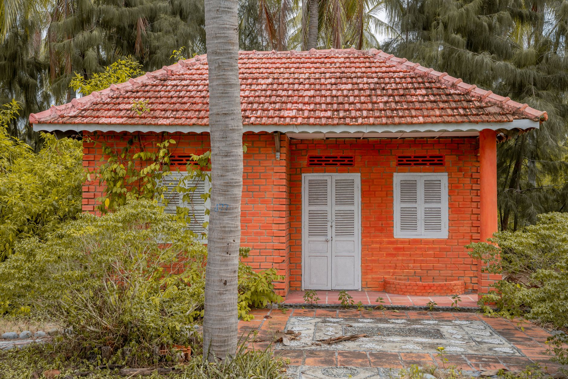Model rumah sederhana dengan desain modern, tampilan bersih, dan taman kecil yang menambah keindahan.