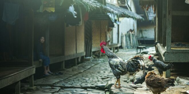 Peta harga tanah per meter persegi di kampung, menampilkan variasi nilai properti di daerah pedesaan