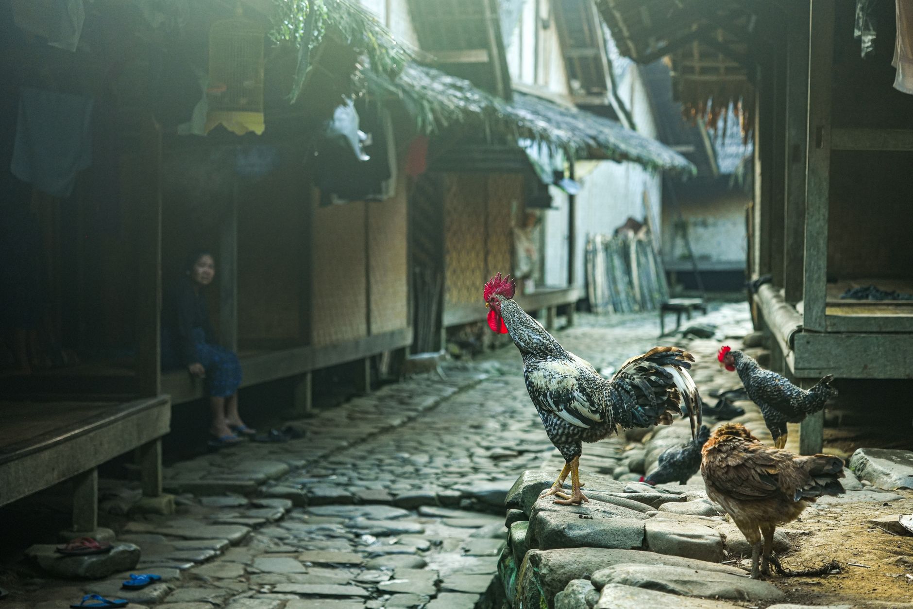Rumah sederhana bergaya tradisional di desa dengan atap genteng, dinding kayu, dan taman kecil.