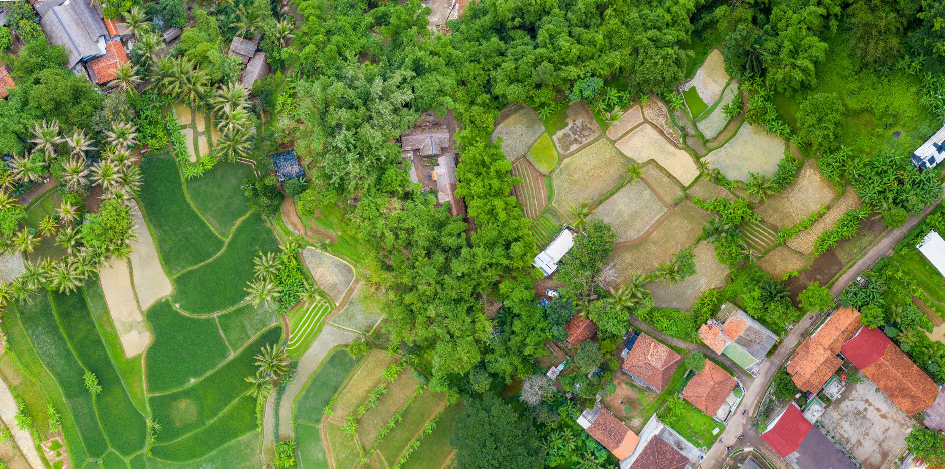 Grafik harga tanah per meter persegi di kampung, rentang Rp50.000‑Rp150.000.