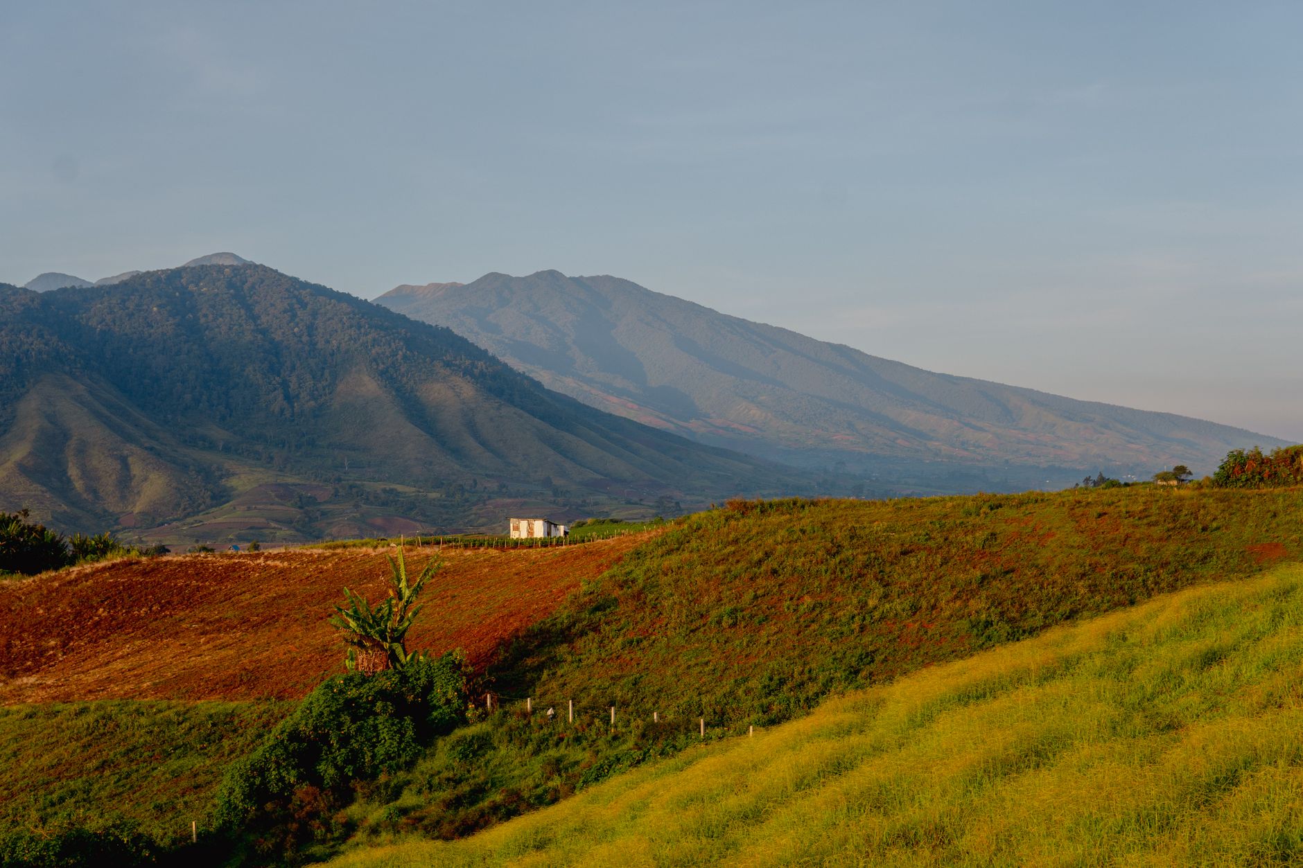 Pemandangan hijau perumahan Serenia Hills Lebak Bulus dengan taman luas dan jalan setapak.