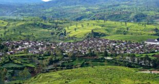 Rumah subsidi murah dengan desain modern, terjangkau untuk keluarga muda di kawasan perkotaan.