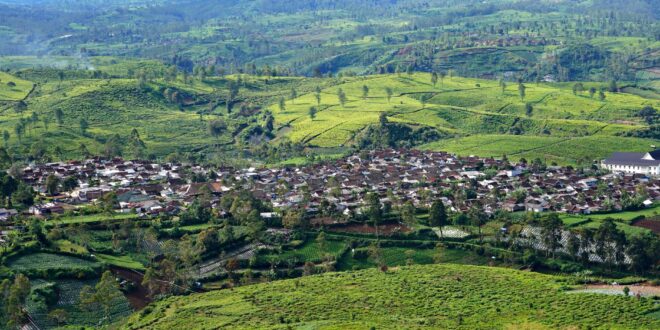 Rumah subsidi murah dengan desain modern, terjangkau untuk keluarga muda di kawasan perkotaan.