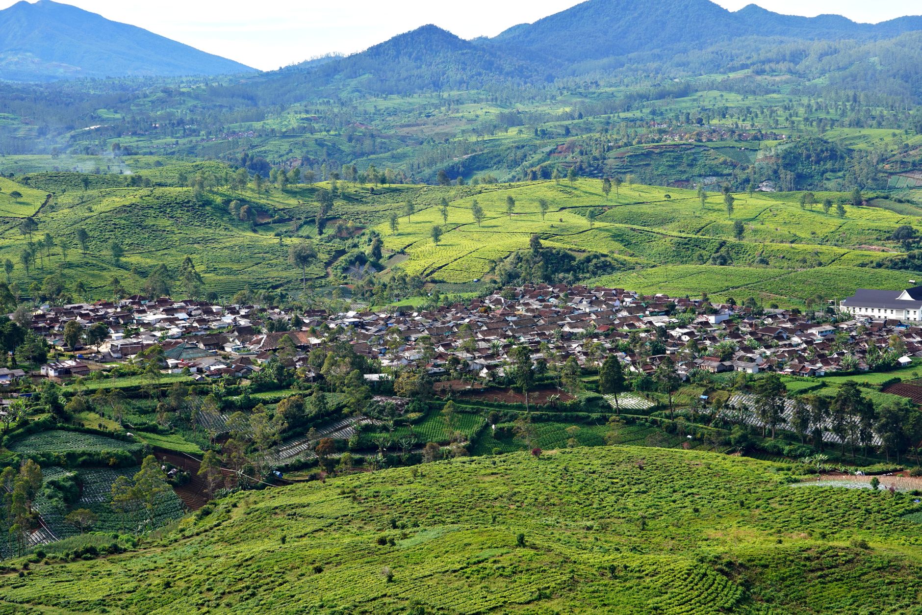 Exterior rumah modern Griya Pesona Cileungsi dengan taman hijau dan pencahayaan alami.